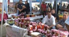 Počeo treći Festival zimnice u Koceljevi