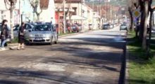 Koceljevački voćari